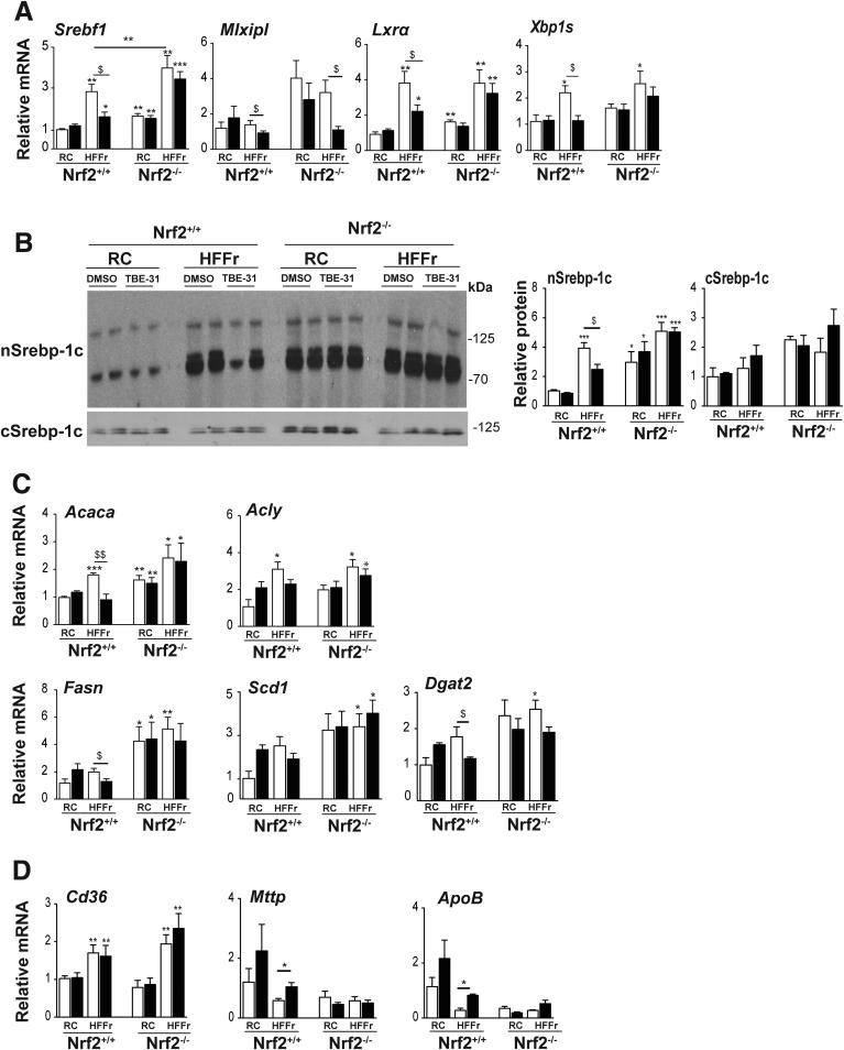 https://cdn.ncbi.nlm.nih.gov/pmc/blobs/ab14/5852394/bfa1b8552e47/gr17.jpg