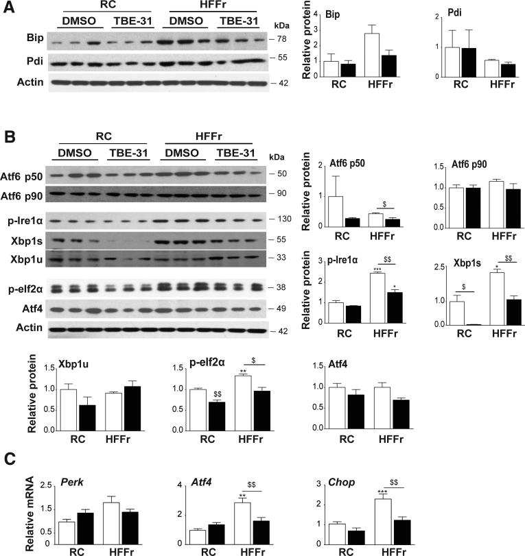 https://cdn.ncbi.nlm.nih.gov/pmc/blobs/ab14/5852394/d378a231b847/gr10.jpg