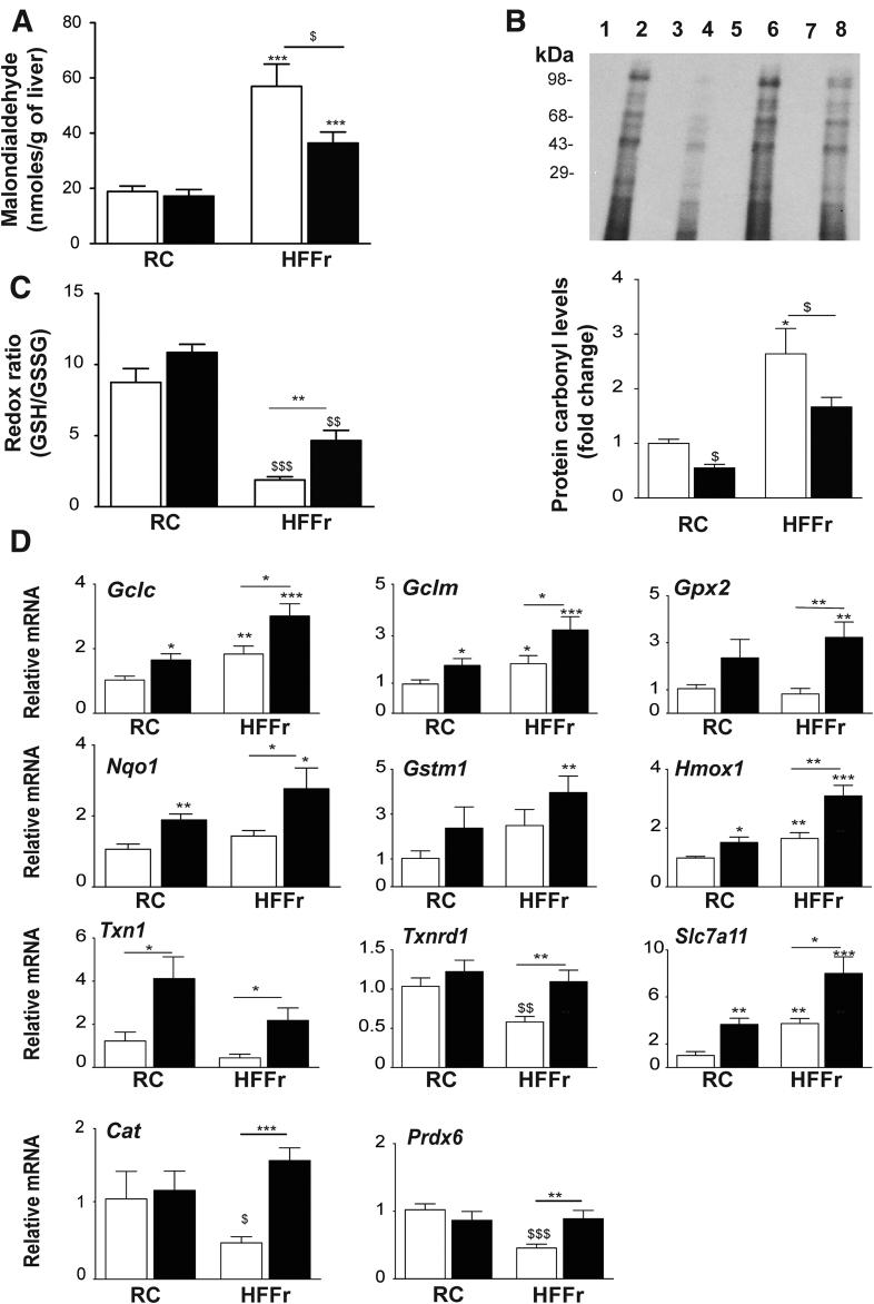 https://cdn.ncbi.nlm.nih.gov/pmc/blobs/ab14/5852394/df85578e15dc/gr13.jpg