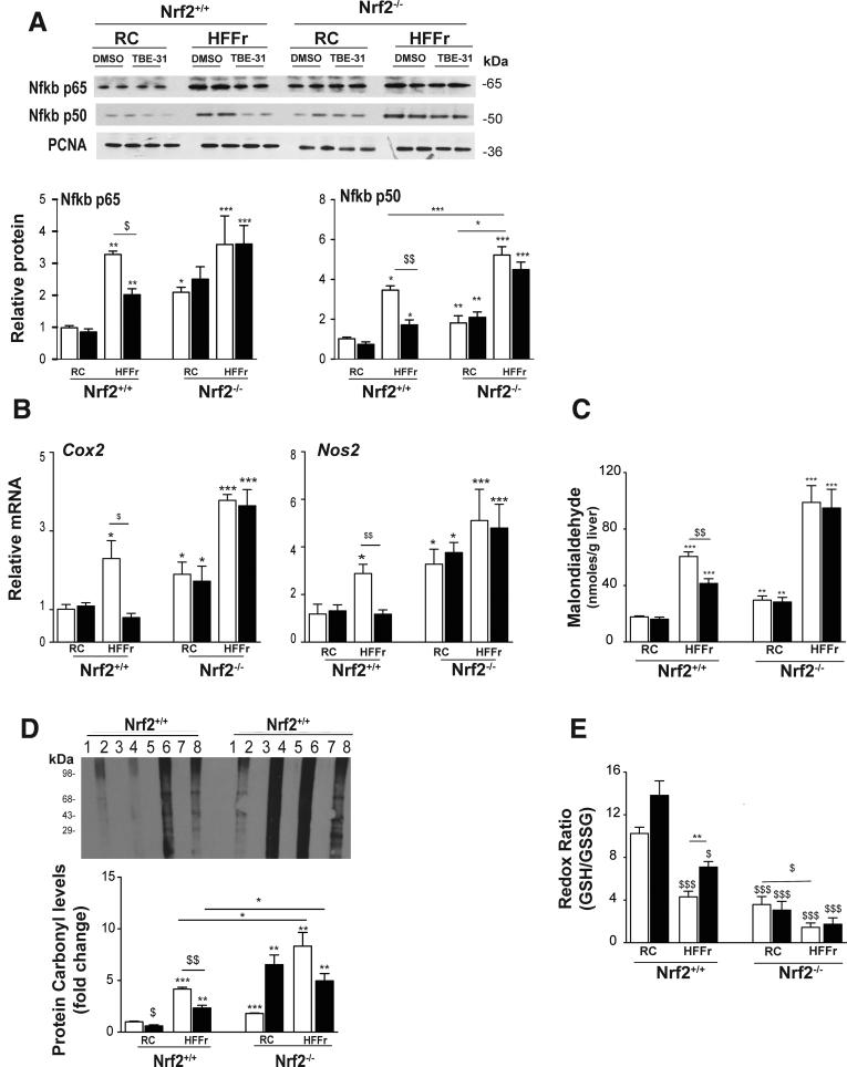 https://cdn.ncbi.nlm.nih.gov/pmc/blobs/ab14/5852394/f60f57ba19a5/gr19.jpg