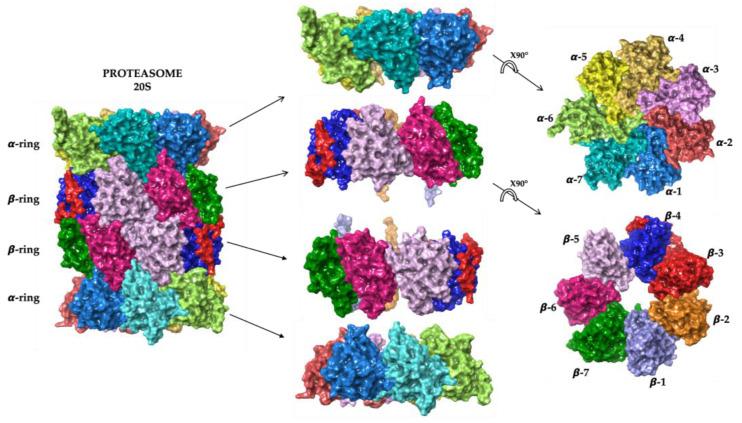 https://cdn.ncbi.nlm.nih.gov/pmc/blobs/ab17/9919276/41526b95eb89/molecules-28-01438-g002.jpg