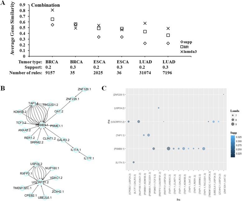 https://cdn.ncbi.nlm.nih.gov/pmc/blobs/ab18/6839229/f5f8c2e15fd4/12859_2019_3171_Fig3_HTML.jpg