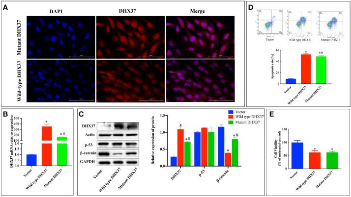 https://cdn.ncbi.nlm.nih.gov/pmc/blobs/ab1c/10098359/c7dcf099d3ac/fendo-14-1059159-g005.jpg