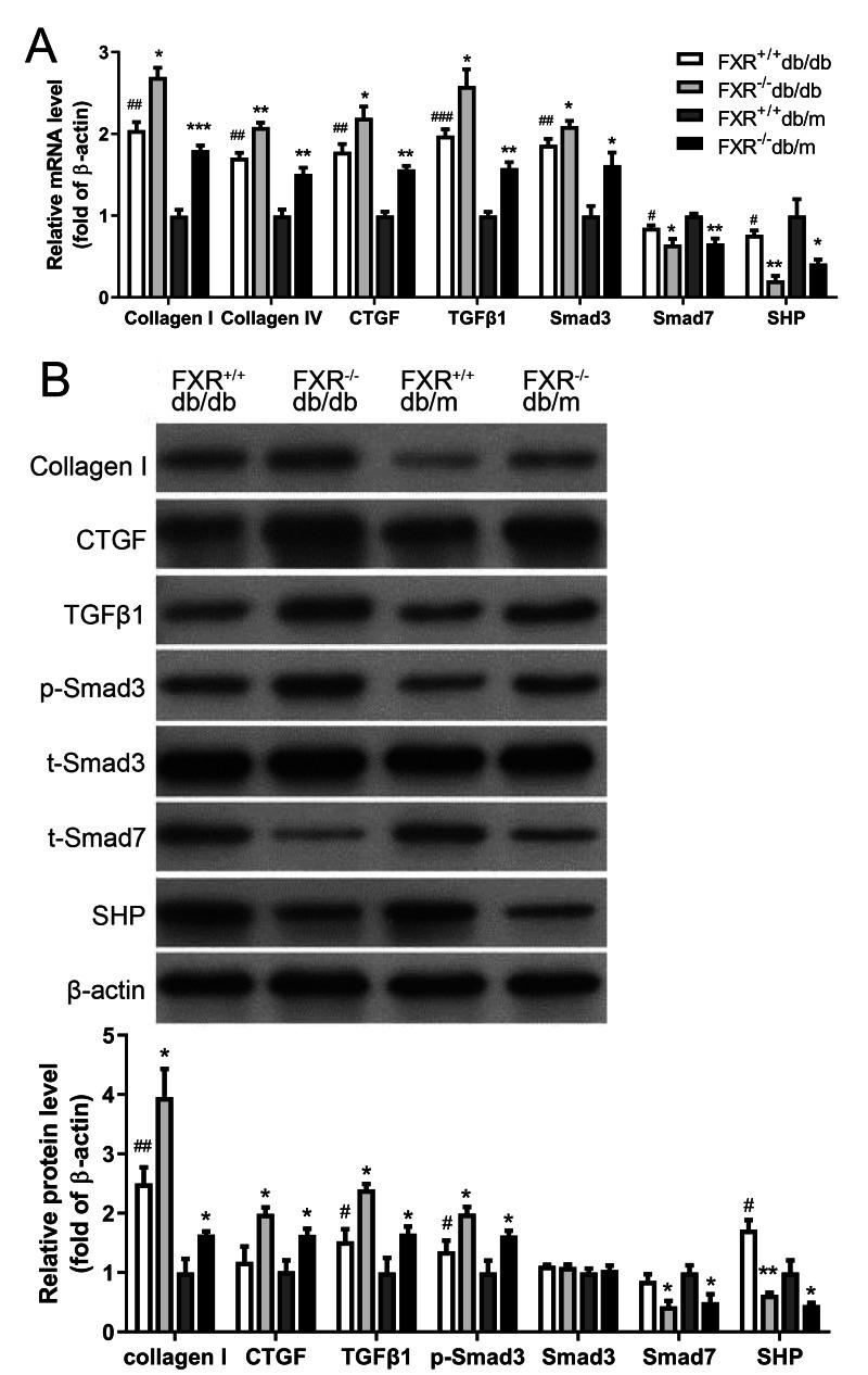 https://cdn.ncbi.nlm.nih.gov/pmc/blobs/ab1d/10544308/456683e3af57/peerj-11-16155-g003.jpg