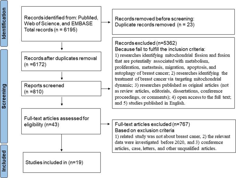 https://cdn.ncbi.nlm.nih.gov/pmc/blobs/ab1d/9528125/254a489d06b0/12957_2022_2799_Fig1_HTML.jpg