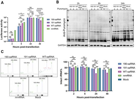 https://cdn.ncbi.nlm.nih.gov/pmc/blobs/ab1e/11578319/97917cde9b3c/ADVS-11-2402936-g007.jpg