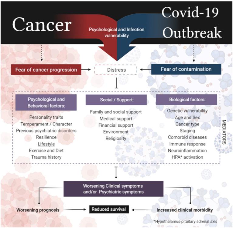 https://cdn.ncbi.nlm.nih.gov/pmc/blobs/ab1f/8058213/2760bfa0c785/fpsyt-12-557834-g0001.jpg