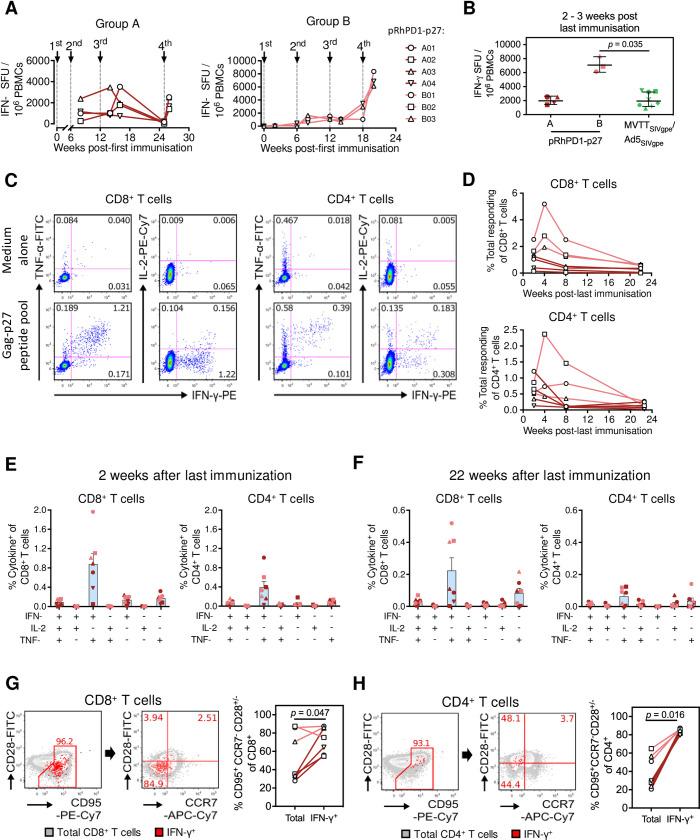 https://cdn.ncbi.nlm.nih.gov/pmc/blobs/ab1f/8202916/3aad571f49b6/ppat.1009647.g003.jpg