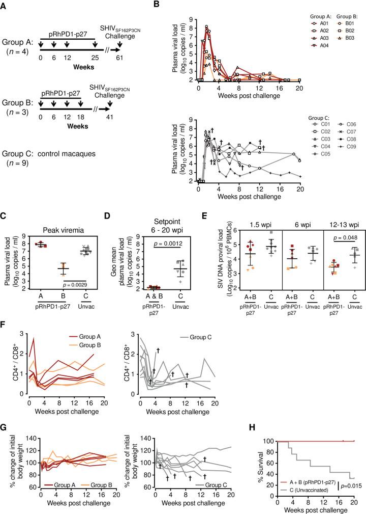 https://cdn.ncbi.nlm.nih.gov/pmc/blobs/ab1f/8202916/50754a3bfdb6/ppat.1009647.g002.jpg