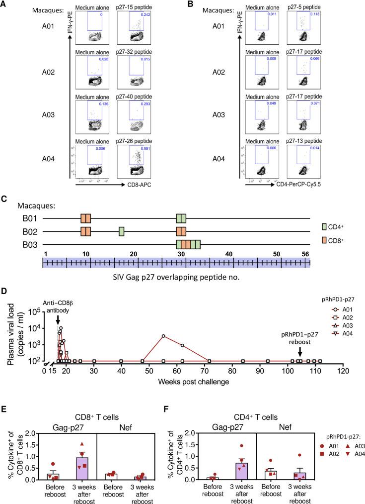 https://cdn.ncbi.nlm.nih.gov/pmc/blobs/ab1f/8202916/5385f7c1d2e3/ppat.1009647.g005.jpg