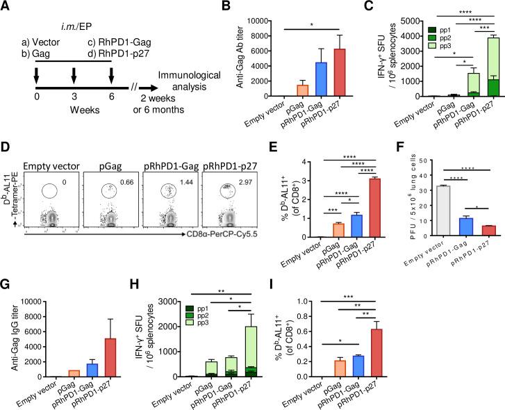 https://cdn.ncbi.nlm.nih.gov/pmc/blobs/ab1f/8202916/fb91421c9a14/ppat.1009647.g001.jpg