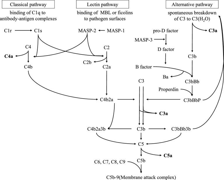 https://cdn.ncbi.nlm.nih.gov/pmc/blobs/ab20/10761822/e702b77fdfa2/41598_2023_46634_Fig1_HTML.jpg