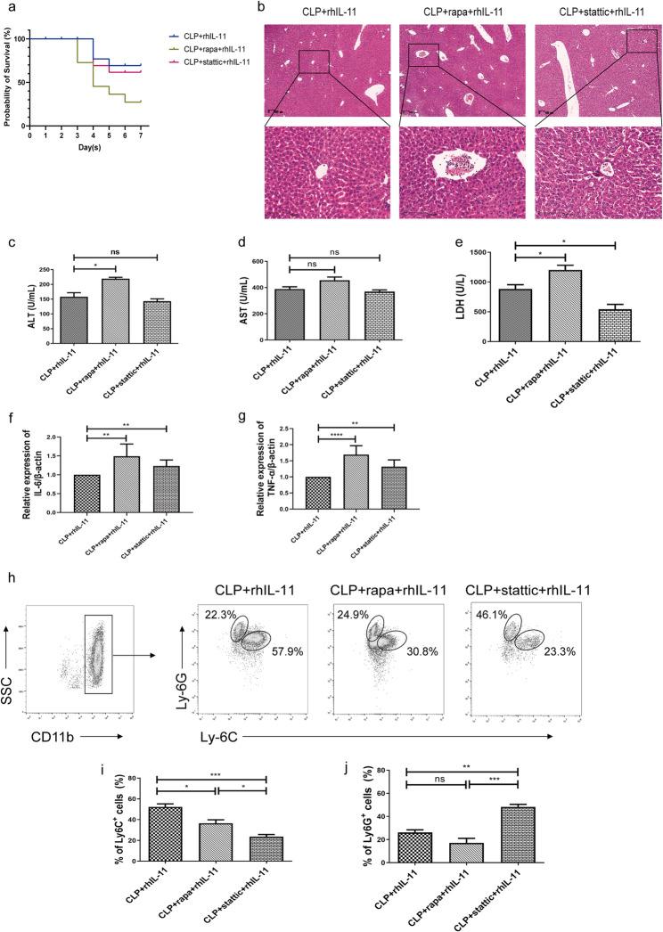 https://cdn.ncbi.nlm.nih.gov/pmc/blobs/ab21/12160463/268616c51863/12950_2025_447_Fig4_HTML.jpg