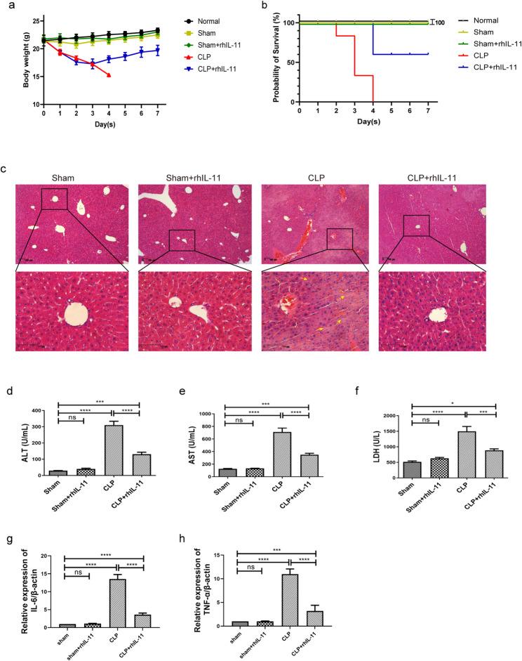 https://cdn.ncbi.nlm.nih.gov/pmc/blobs/ab21/12160463/792f5b8f40e5/12950_2025_447_Fig1_HTML.jpg