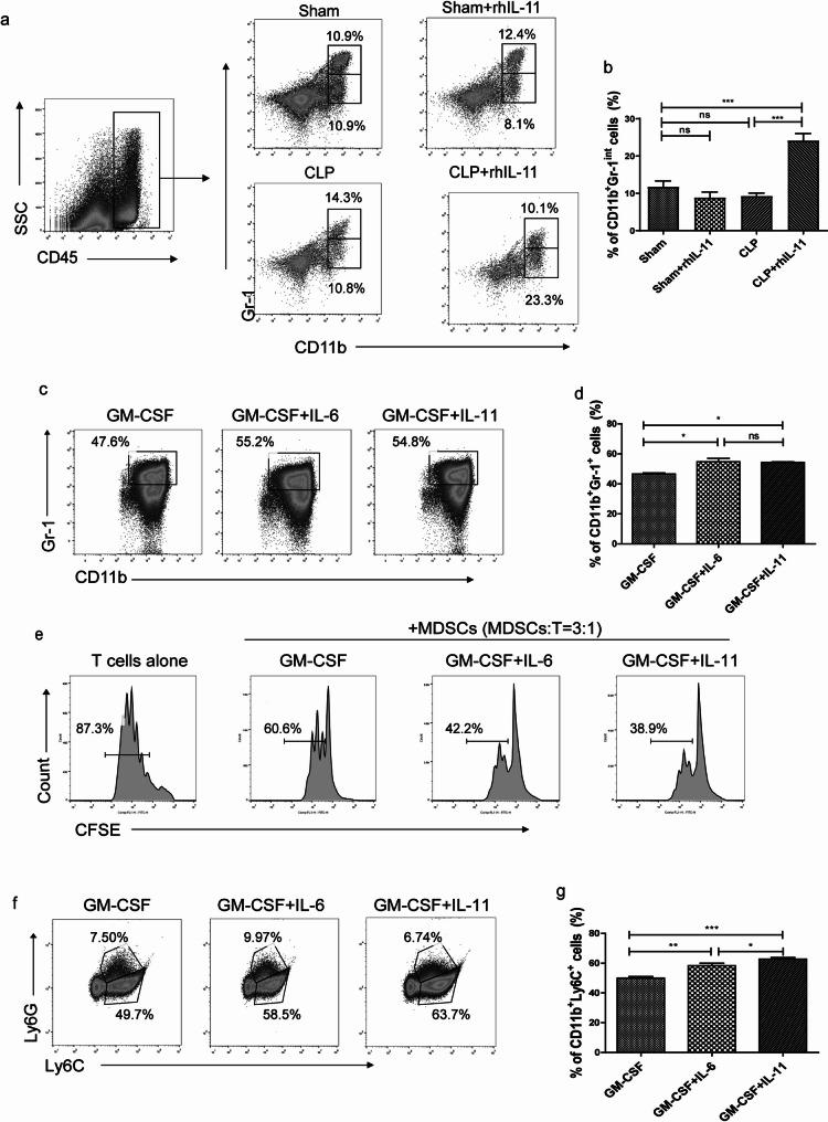 https://cdn.ncbi.nlm.nih.gov/pmc/blobs/ab21/12160463/ee9801d336ec/12950_2025_447_Fig2_HTML.jpg