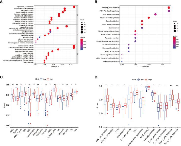 https://cdn.ncbi.nlm.nih.gov/pmc/blobs/ab22/8353278/243ef8c04b32/fonc-11-698856-g006.jpg