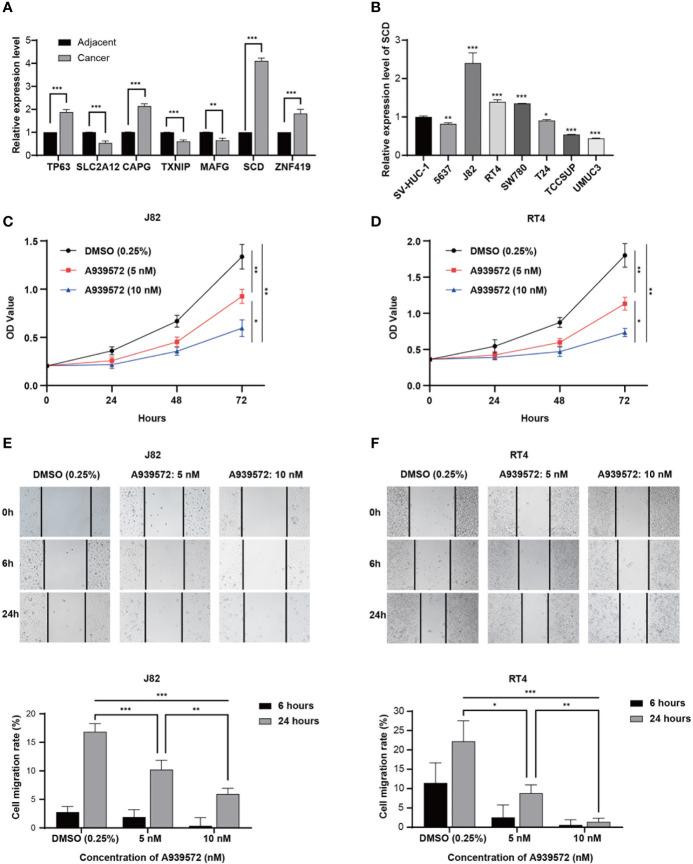 https://cdn.ncbi.nlm.nih.gov/pmc/blobs/ab22/8353278/2c02752bb455/fonc-11-698856-g007.jpg