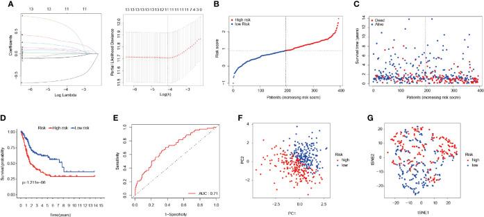 https://cdn.ncbi.nlm.nih.gov/pmc/blobs/ab22/8353278/3489635c57b5/fonc-11-698856-g003.jpg