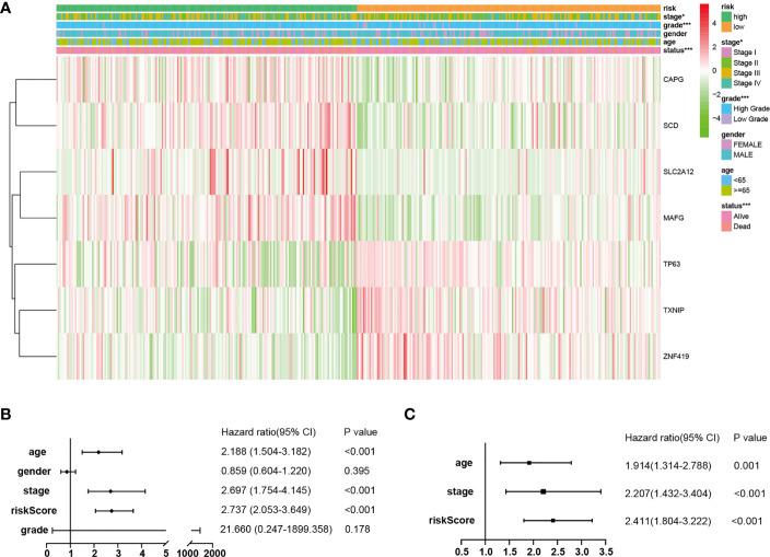 https://cdn.ncbi.nlm.nih.gov/pmc/blobs/ab22/8353278/7071e0239cff/fonc-11-698856-g004.jpg