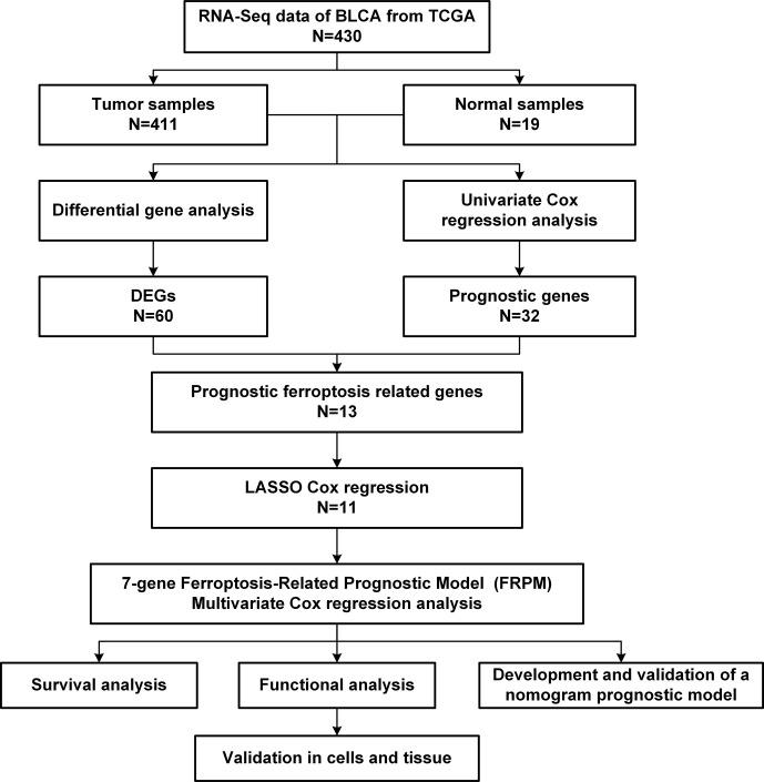 https://cdn.ncbi.nlm.nih.gov/pmc/blobs/ab22/8353278/d8a4a7bdb4ad/fonc-11-698856-g001.jpg