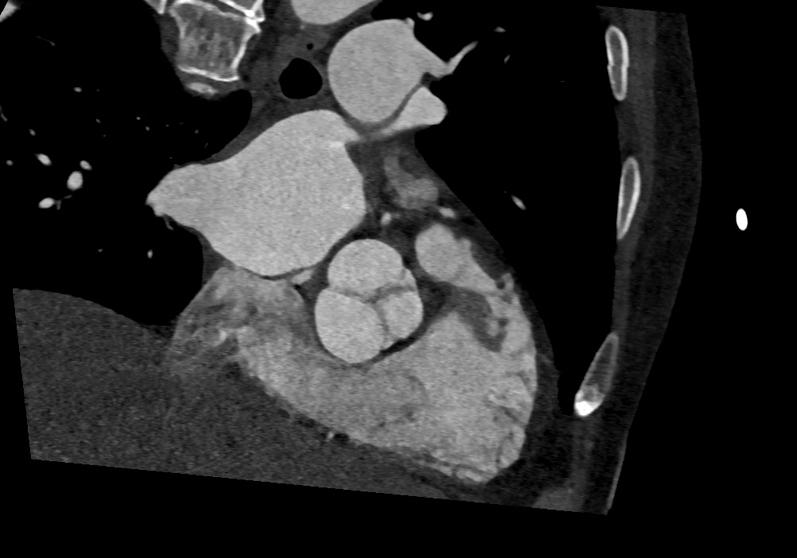 https://cdn.ncbi.nlm.nih.gov/pmc/blobs/ab24/12273849/8fb90749b9e2/gr4.jpg
