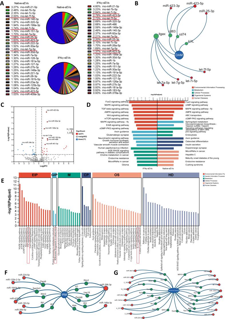 https://cdn.ncbi.nlm.nih.gov/pmc/blobs/ab25/11977360/2606daf6ed00/evcna-6-1-87.fig.7.jpg