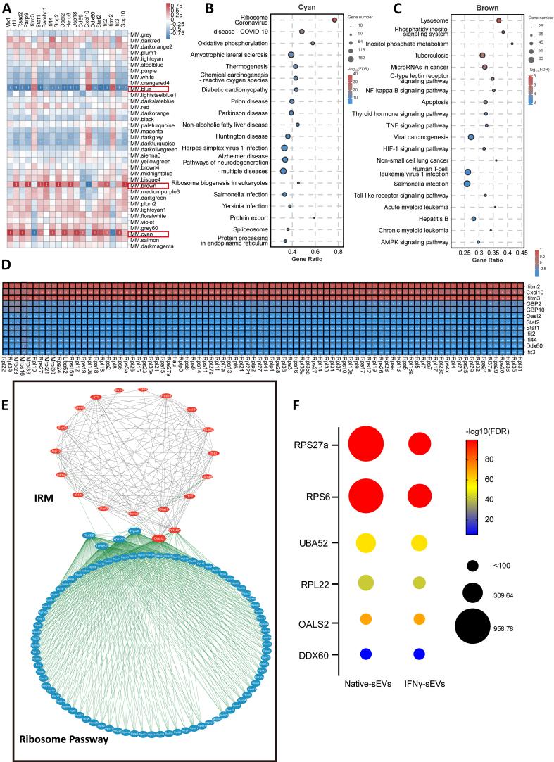 https://cdn.ncbi.nlm.nih.gov/pmc/blobs/ab25/11977360/3a4242e5f22c/evcna-6-1-87.fig.6.jpg