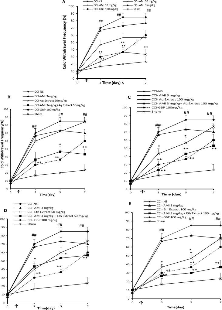 https://cdn.ncbi.nlm.nih.gov/pmc/blobs/ab25/5423246/0b1bb5fc7363/ijpr-16-187-g002.jpg