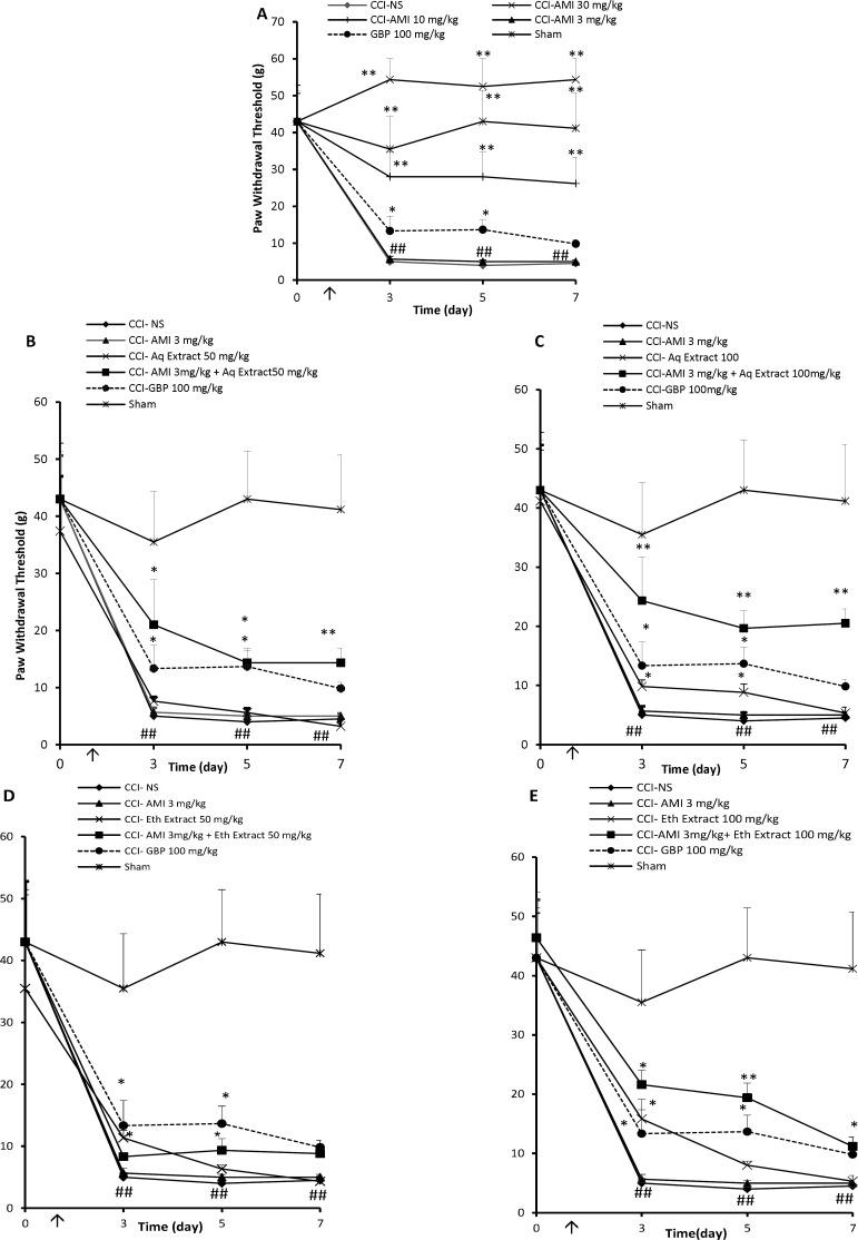 https://cdn.ncbi.nlm.nih.gov/pmc/blobs/ab25/5423246/ebd64d51526c/ijpr-16-187-g001.jpg