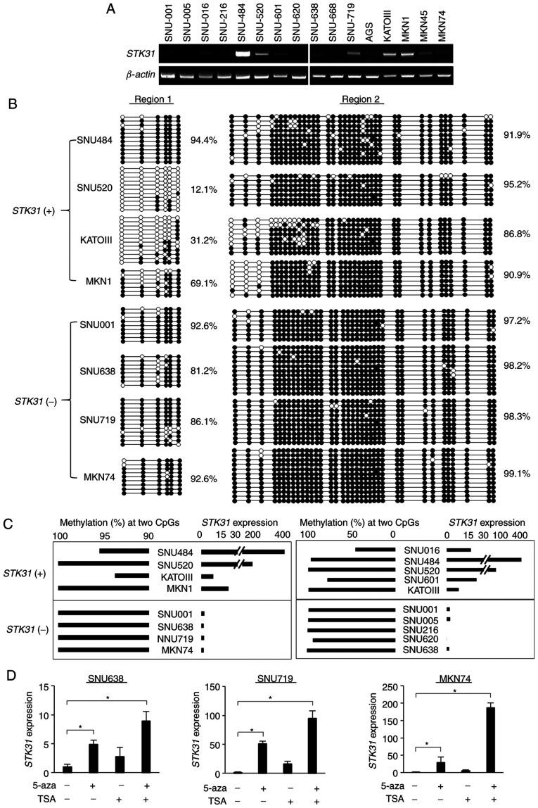 https://cdn.ncbi.nlm.nih.gov/pmc/blobs/ab26/7934220/6566f08adbad/or-45-04-7993-g03.jpg