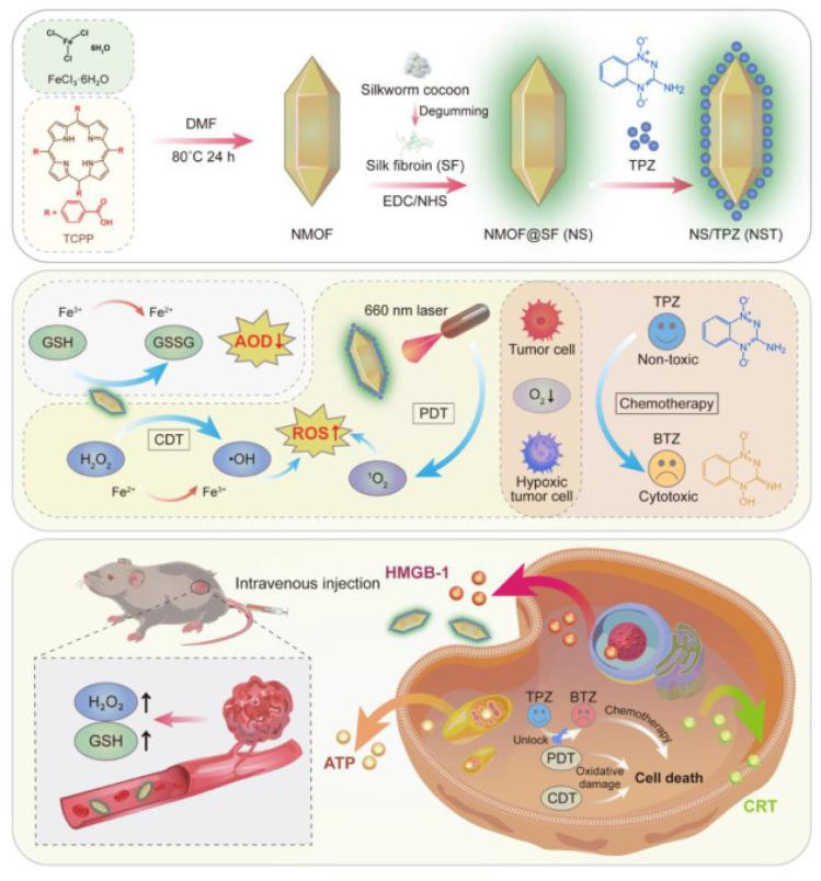 https://cdn.ncbi.nlm.nih.gov/pmc/blobs/ab26/9369971/02e877b6dd8d/molecules-27-04917-g009.jpg