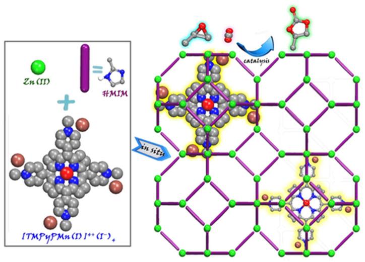 https://cdn.ncbi.nlm.nih.gov/pmc/blobs/ab26/9369971/6dc09bd7e587/molecules-27-04917-g004.jpg