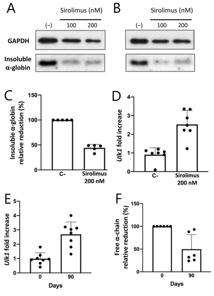 https://cdn.ncbi.nlm.nih.gov/pmc/blobs/ab28/11171814/0ac01c27cc5b/cells-13-00918-g006.jpg