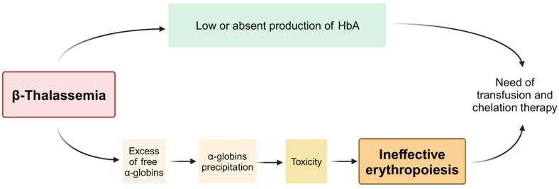 https://cdn.ncbi.nlm.nih.gov/pmc/blobs/ab28/11171814/73b391348c2d/cells-13-00918-g001.jpg