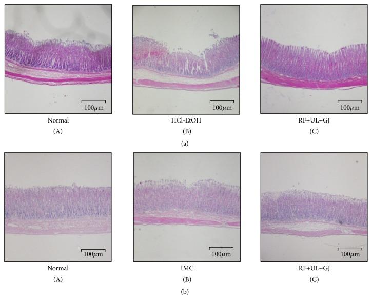 https://cdn.ncbi.nlm.nih.gov/pmc/blobs/ab28/6398063/3e55706ab34a/BMRI2019-8759708.006.jpg