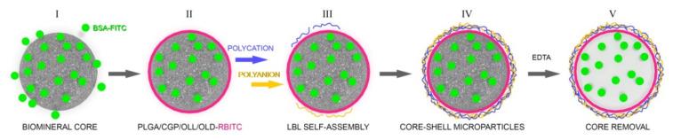https://cdn.ncbi.nlm.nih.gov/pmc/blobs/ab2a/8912594/3c2a1046b16d/polymers-14-00931-g001.jpg