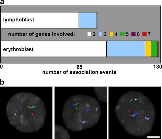 https://cdn.ncbi.nlm.nih.gov/pmc/blobs/ab2b/2542471/3a73f4f68efe/jcb1821083f07.jpg