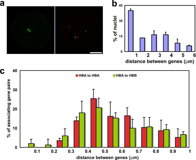 https://cdn.ncbi.nlm.nih.gov/pmc/blobs/ab2b/2542471/4ac93d9a6271/jcb1821083f05.jpg