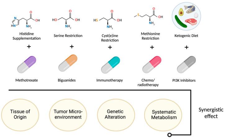 https://cdn.ncbi.nlm.nih.gov/pmc/blobs/ab2c/12025843/d53362bd42c5/cells-14-00598-g001.jpg