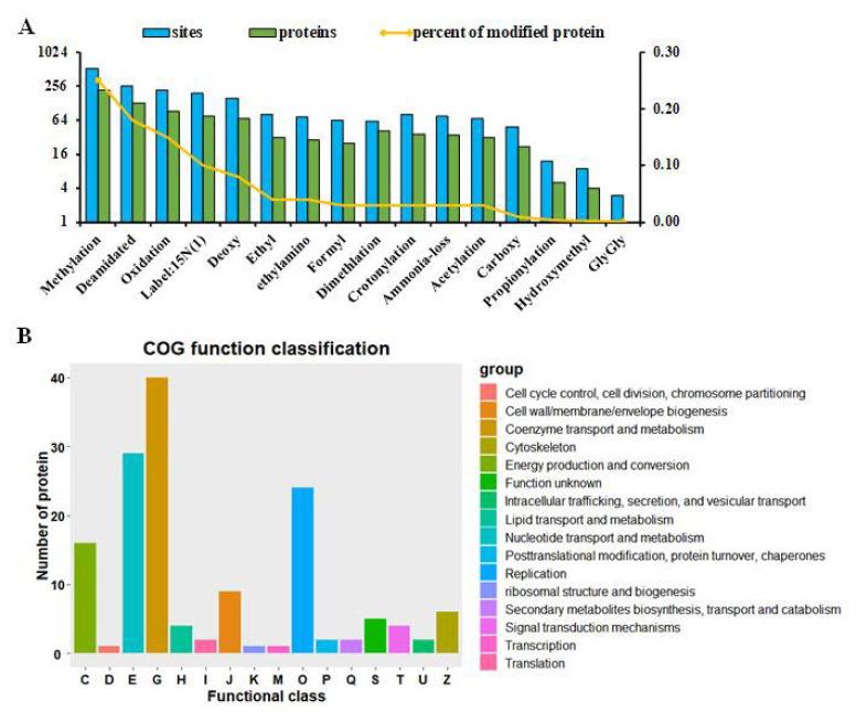 https://cdn.ncbi.nlm.nih.gov/pmc/blobs/ab2c/8844941/e3e212aeebcb/CG-22-373_F6.jpg