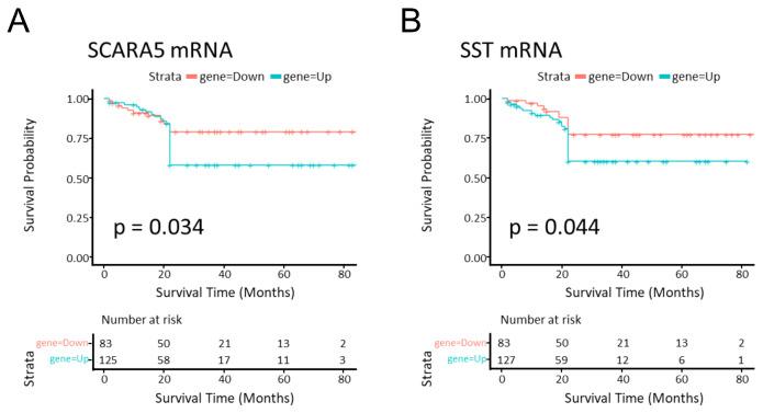 https://cdn.ncbi.nlm.nih.gov/pmc/blobs/ab2f/11171846/5e958b91a3a5/ijms-25-05699-g005.jpg