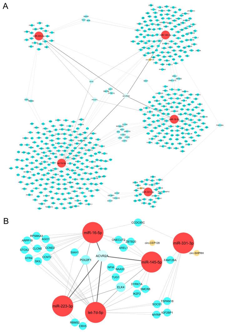 https://cdn.ncbi.nlm.nih.gov/pmc/blobs/ab2f/11171846/f7752c827dd5/ijms-25-05699-g002.jpg