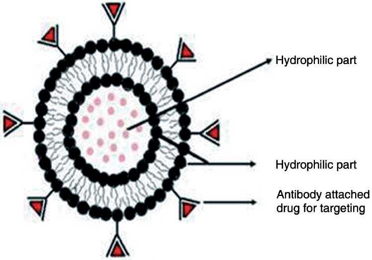 https://cdn.ncbi.nlm.nih.gov/pmc/blobs/ab30/2991688/2e509493654e/IJPharm-42-338-g001.jpg