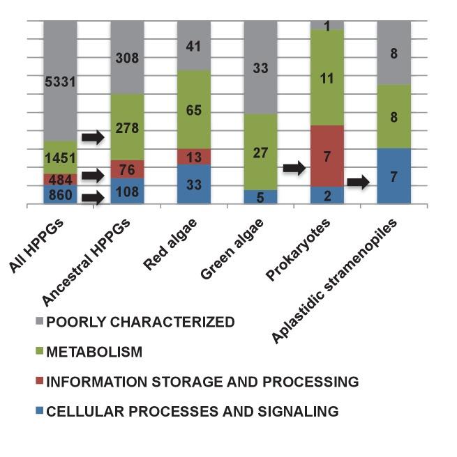 https://cdn.ncbi.nlm.nih.gov/pmc/blobs/ab31/5462543/1a2df40ce7c0/elife-23717-fig5-figsupp7.jpg