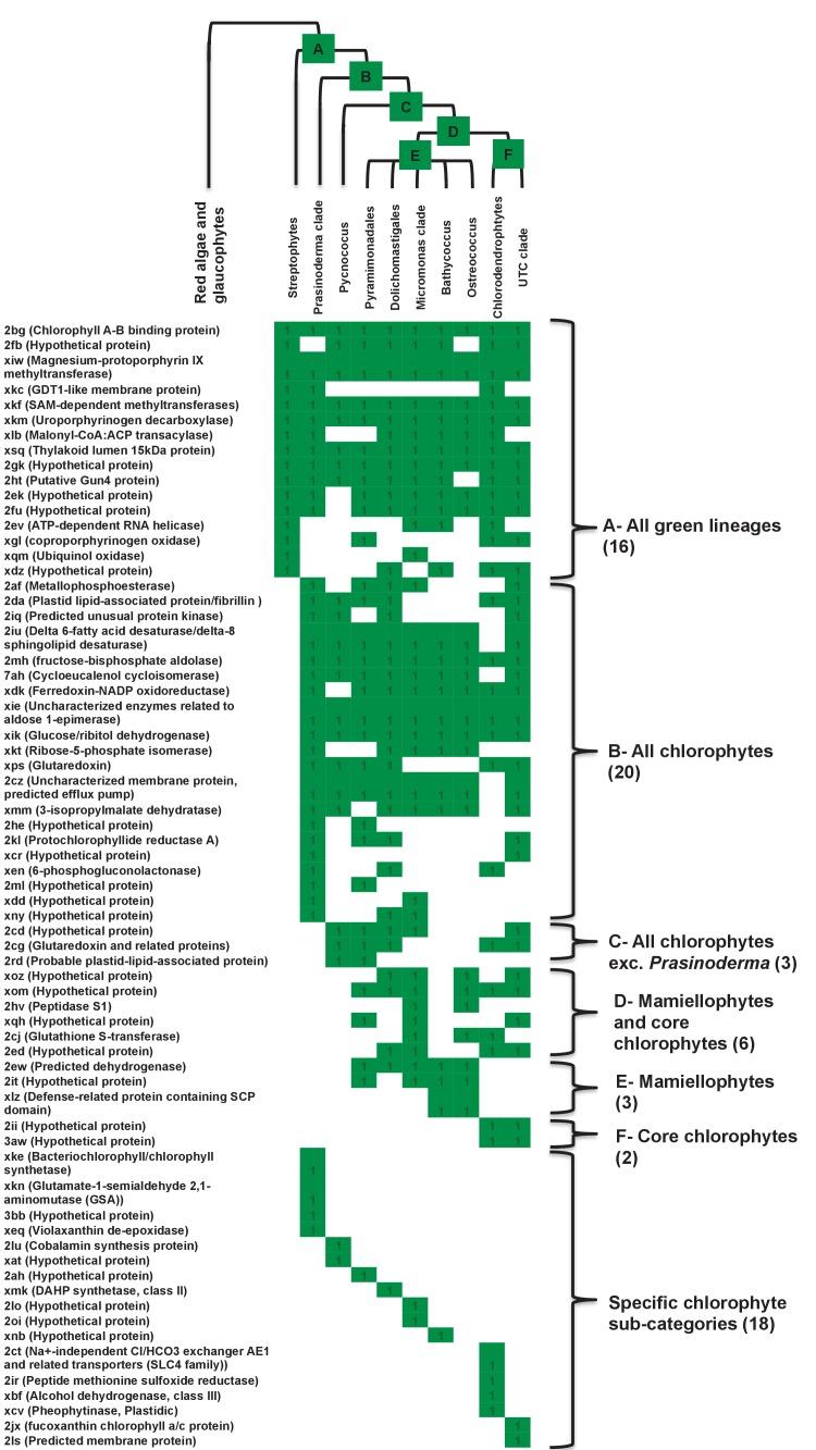 https://cdn.ncbi.nlm.nih.gov/pmc/blobs/ab31/5462543/545199ae13dd/elife-23717-fig4-figsupp2.jpg