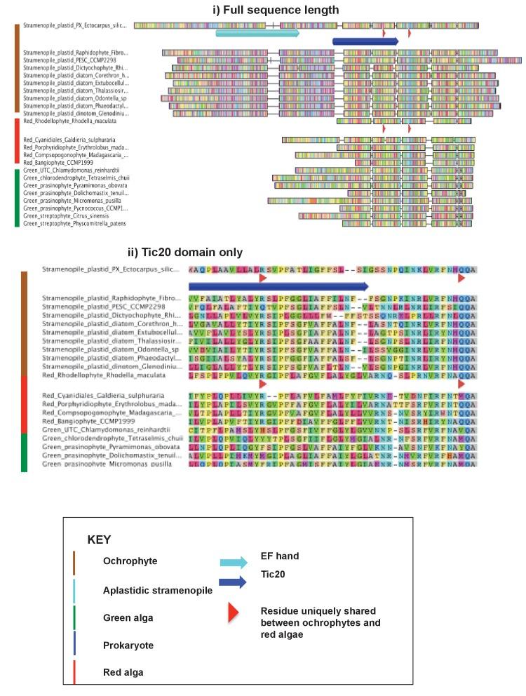 https://cdn.ncbi.nlm.nih.gov/pmc/blobs/ab31/5462543/91d874be97bd/elife-23717-fig6-figsupp3.jpg
