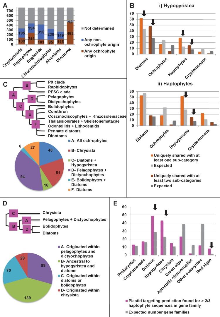 https://cdn.ncbi.nlm.nih.gov/pmc/blobs/ab31/5462543/c7ccfe644ab3/elife-23717-fig8.jpg