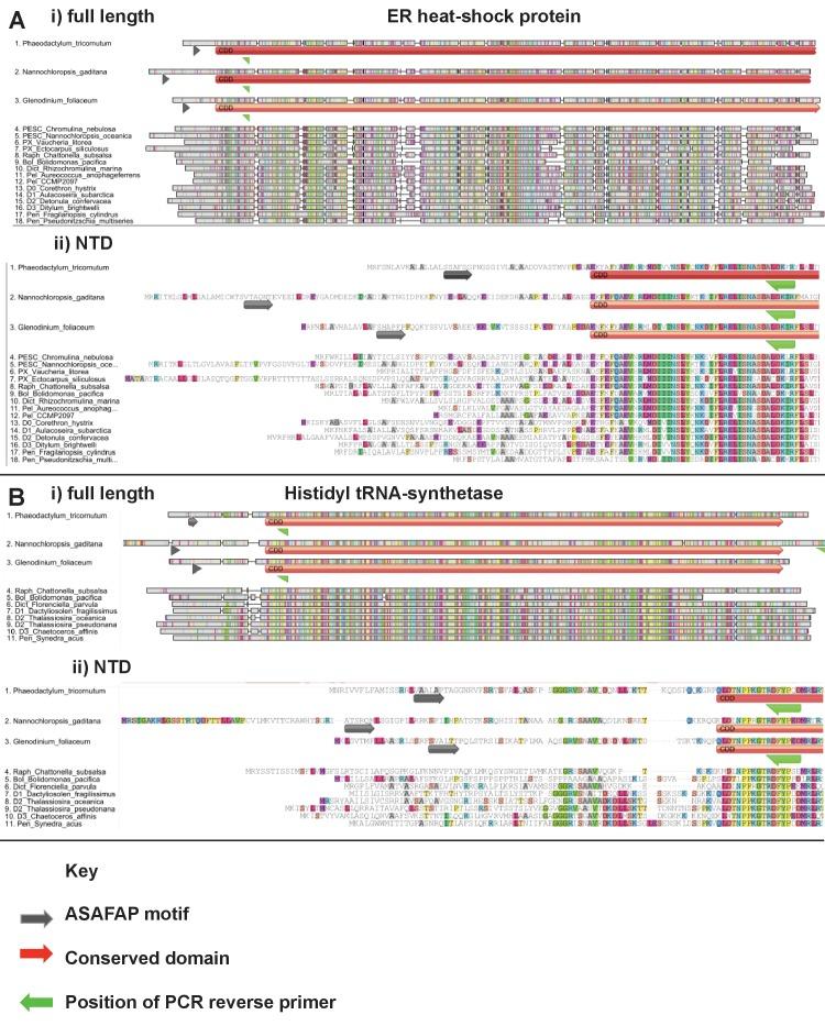 https://cdn.ncbi.nlm.nih.gov/pmc/blobs/ab31/5462543/fc7097de8146/elife-23717-fig2-figsupp1.jpg