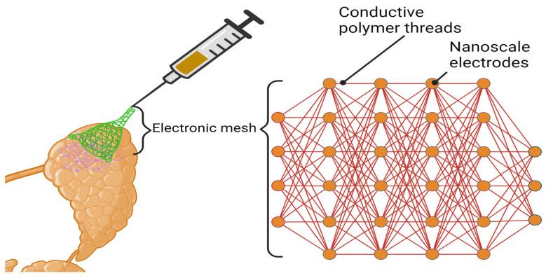 https://cdn.ncbi.nlm.nih.gov/pmc/blobs/ab32/10813147/819318e7996f/bioengineering-11-00028-g009.jpg