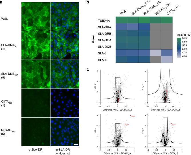 https://cdn.ncbi.nlm.nih.gov/pmc/blobs/ab38/10442341/75c8d31453c6/41598_2023_36788_Fig2_HTML.jpg